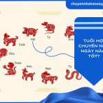 Tuổi Hợi chuyển nhà ngày nào tốt?