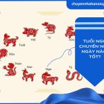 Người tuổi Ngọ chuyển nhà ngày nào tốt?